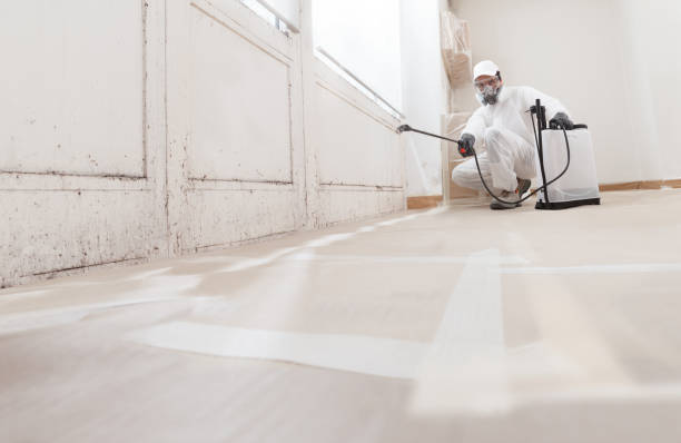 24/7 Emergency Basement Mold Remediation experts in Free Soil, MI